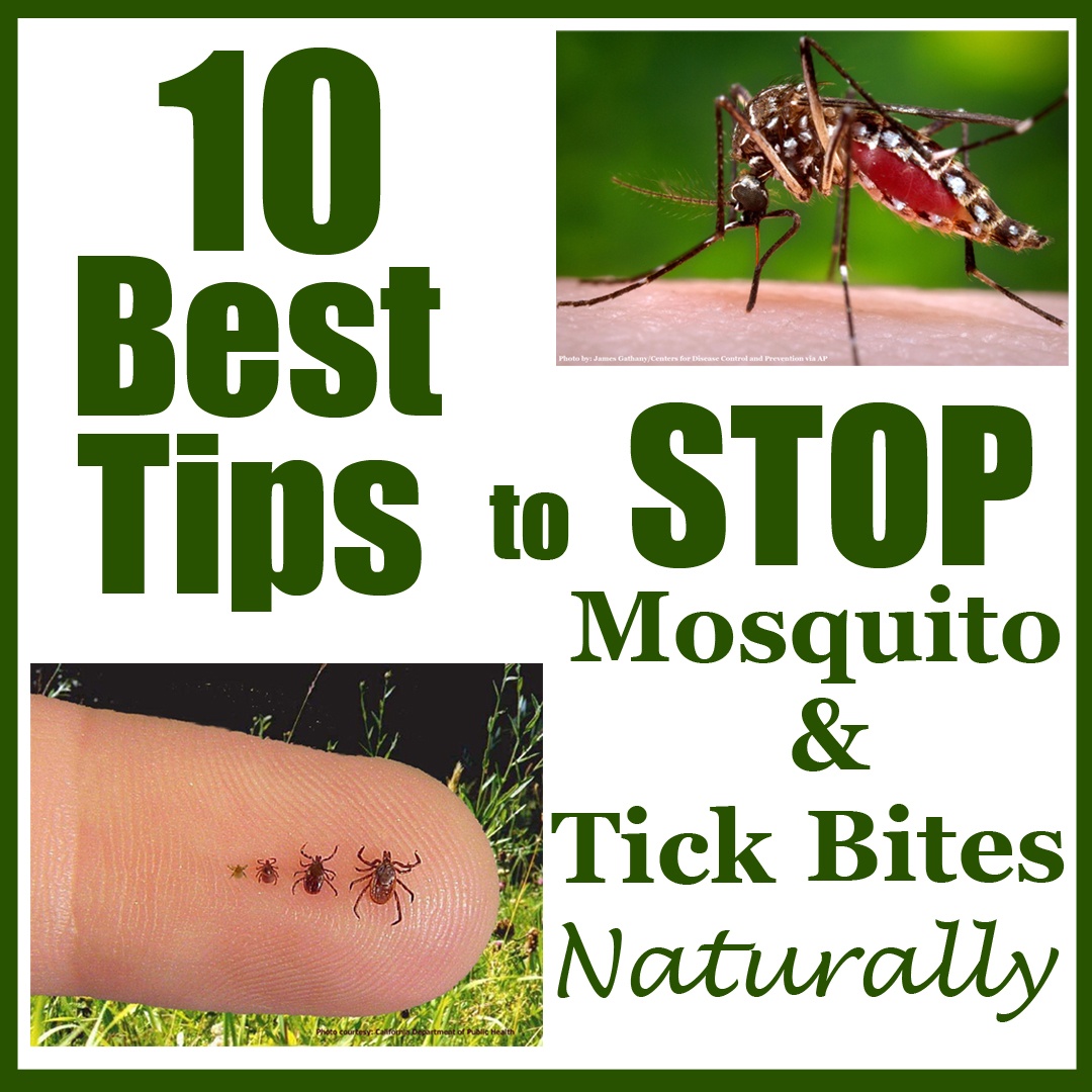 10 Best Tips To Stop Mosquito And Tick Bites Naturally